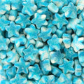 Étoile Twist Bleue Sucrée (100g)