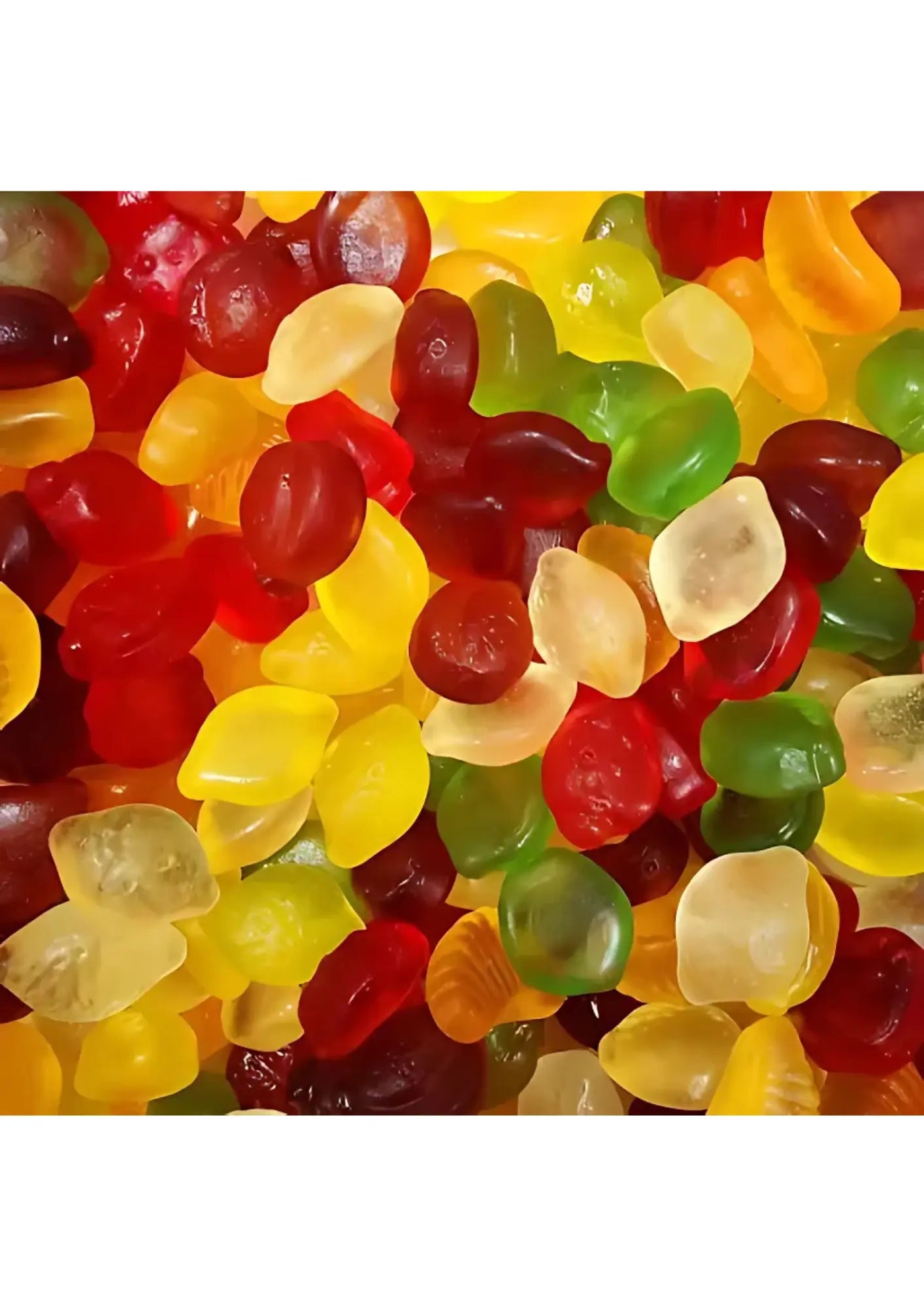 Fruits Sans Sucre (100g)